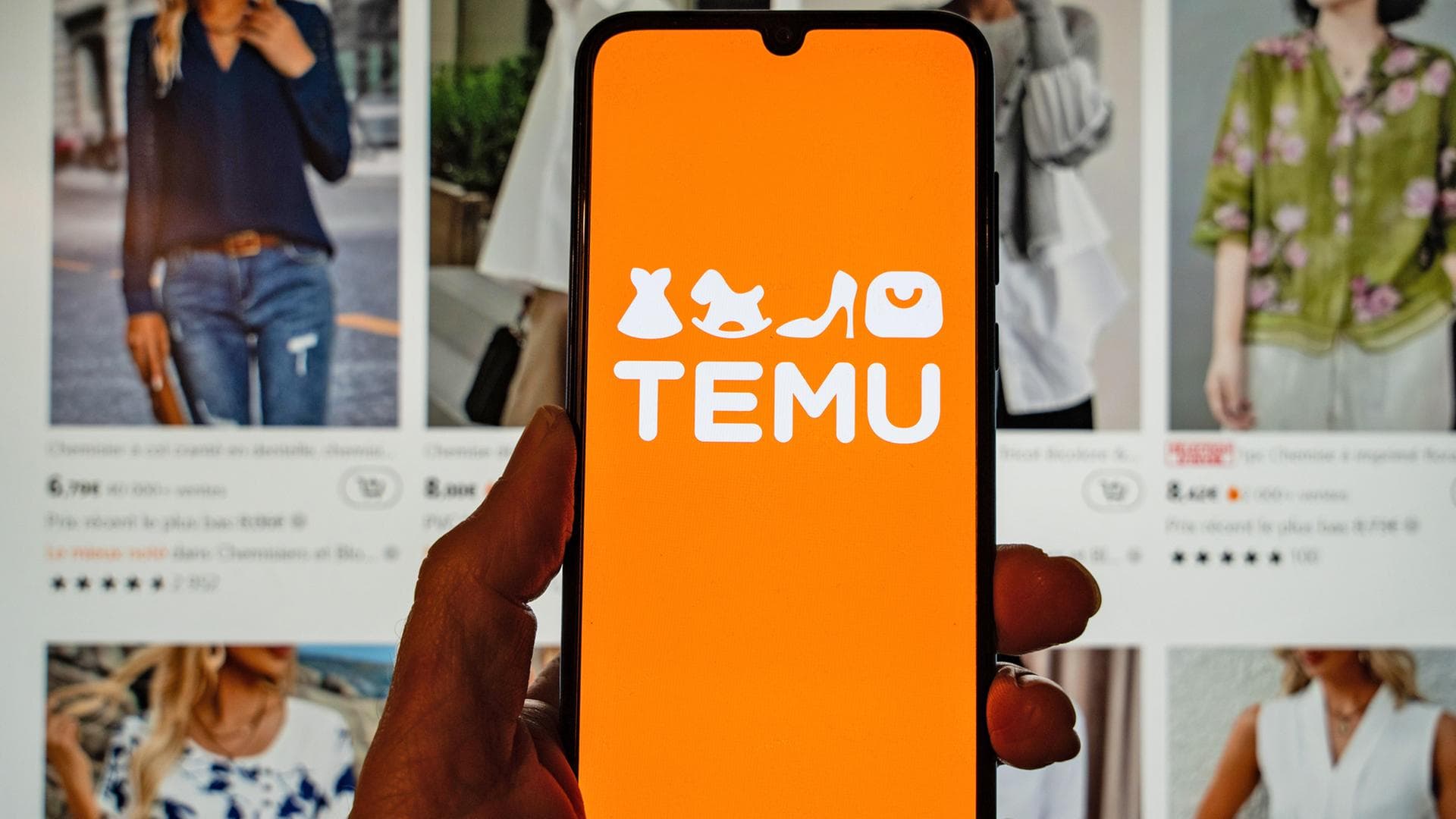 Wie funktioniert die Temu-App und weshalb beeinflusst dies die Seriositätseinschätzung?