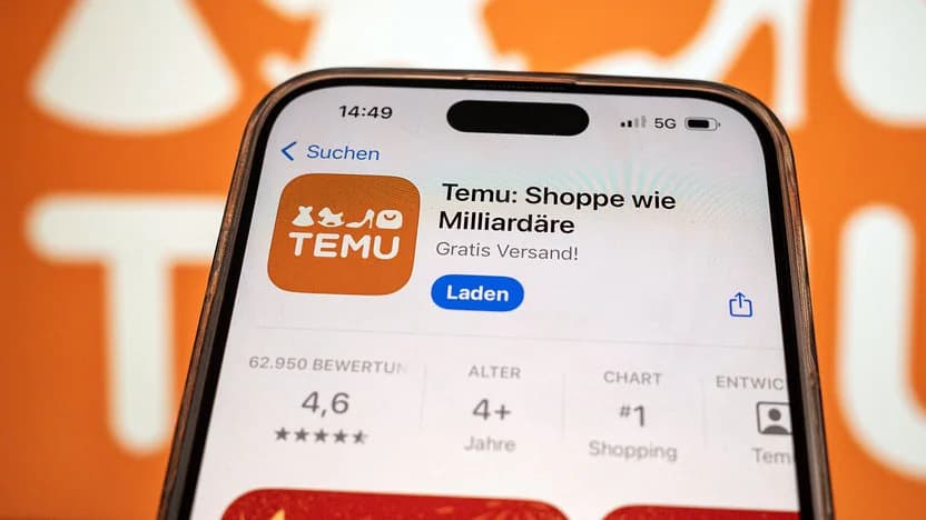 Wie die Zukunft der Temu-Versanddienstleister aussehen könnte